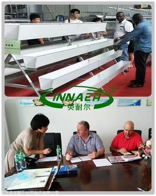 现代化草莓种植新篇章 大棚种植槽、立体栽培架及其进出口服务全解析